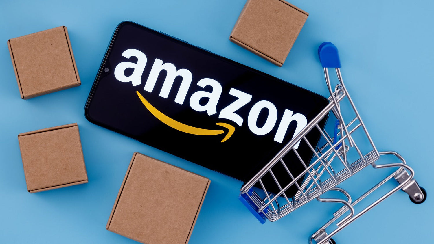 Amazon Lifestyle