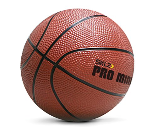 SKLZ Pro Mini Indoor Basketball Hoop - Over The Door – Portable