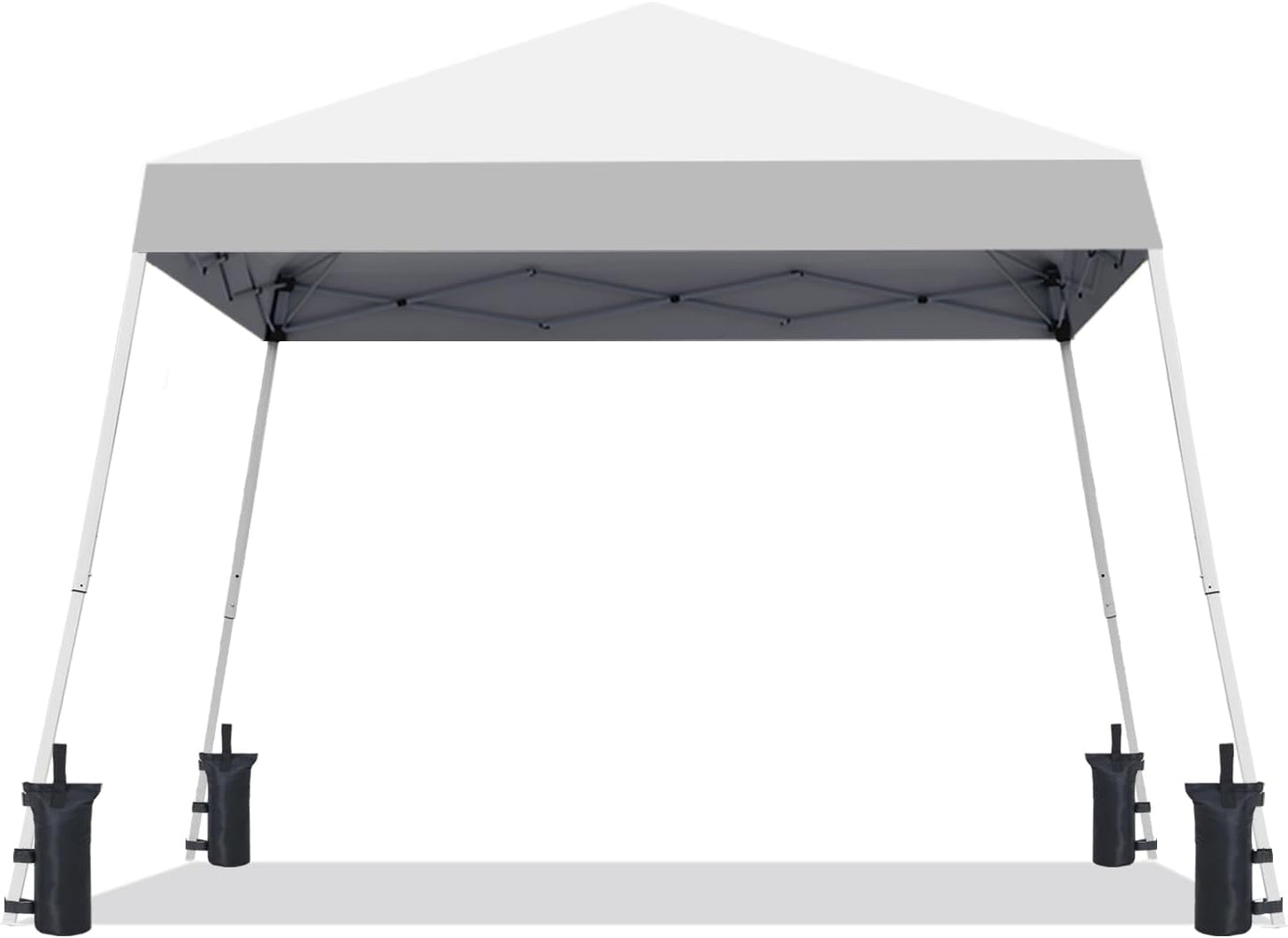 10X10 FT Pop Up Canopy Instant Tent
