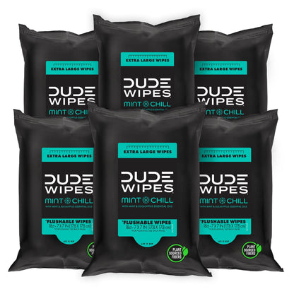 DUDE Wipes - Flushable Wipes Travel Pack - 6 Pack, 108 Wipes