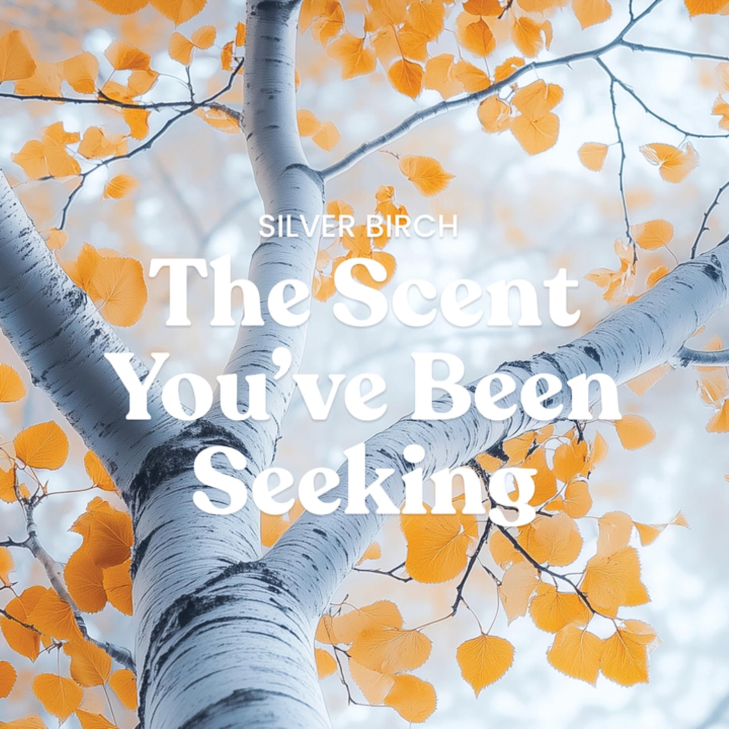 Yankee Candle- Large Jar Scented Candle with up to 150 Hour Burn Time