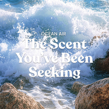 Yankee Candle- Large Jar Scented Candle with up to 150 Hour Burn Time