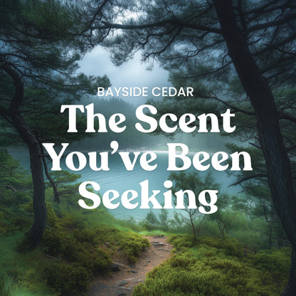 Yankee Candle- Large Jar Scented Candle with up to 150 Hour Burn Time